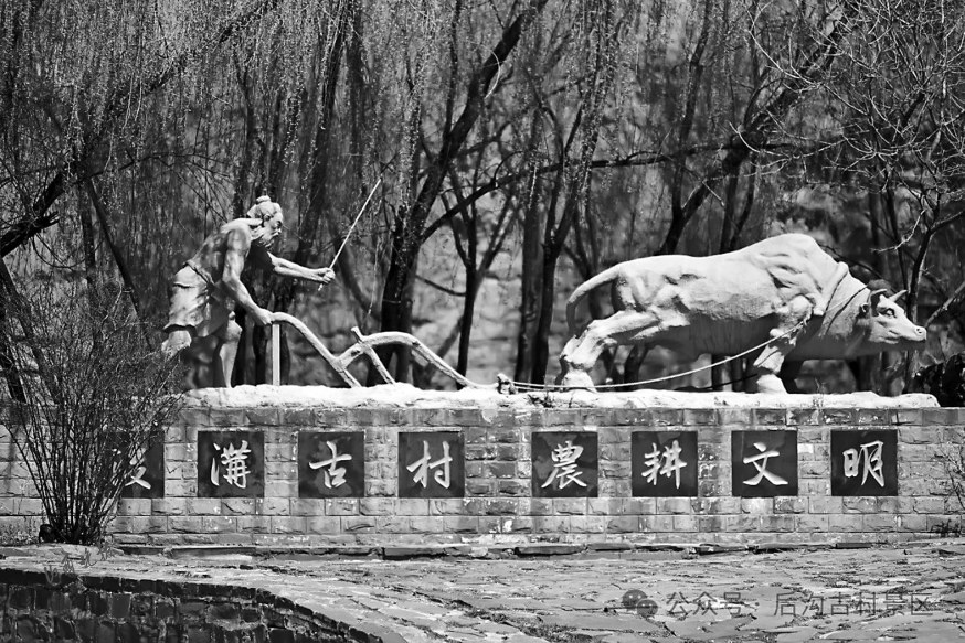 20240611_d21f0a79466cbcf3e803fb288623384d.jpg