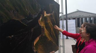 �������P�j�����D�D��v�i�۬�PIP