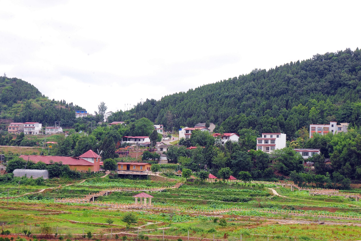 四川中江乡村振兴迈开新步伐