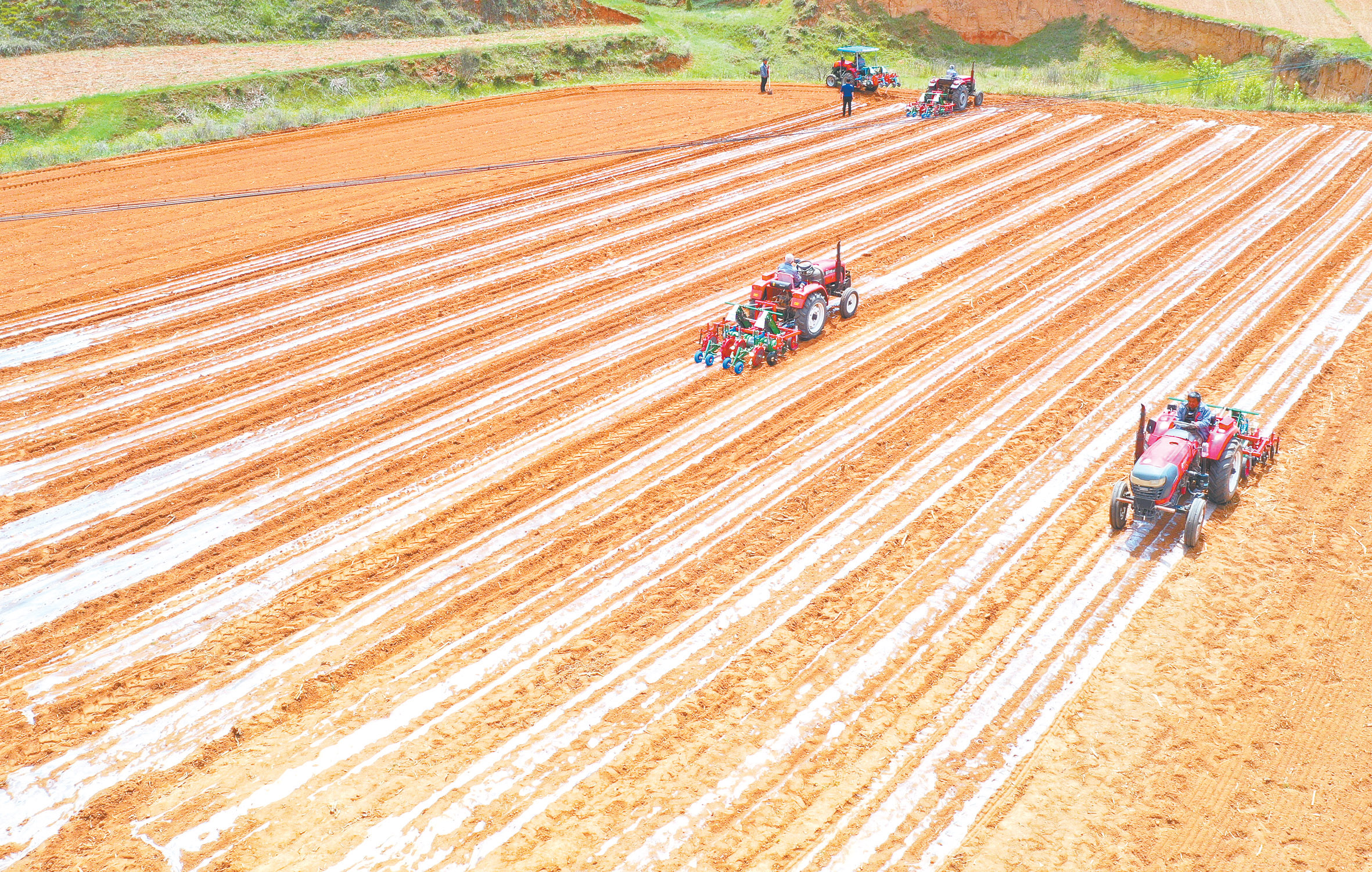 万亩良田农事忙