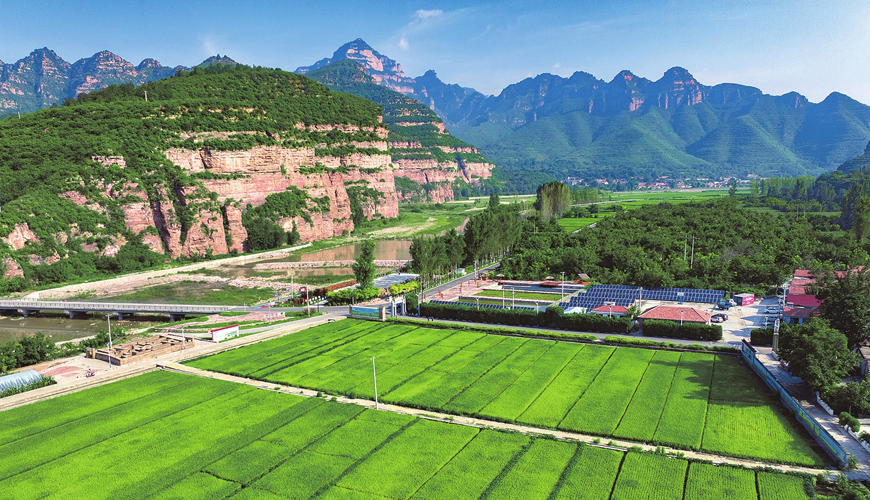 �̦��ͺA�u�� ���y���ж��X�顨