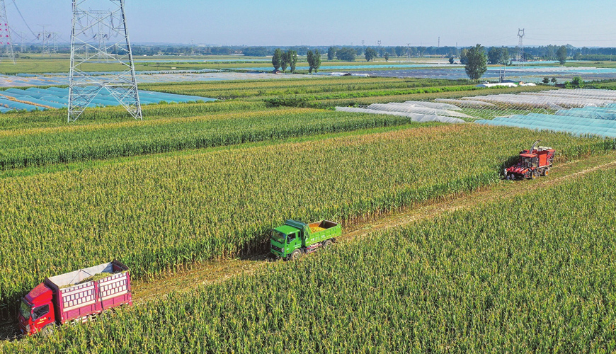 ³���s�~�ײ��צ�