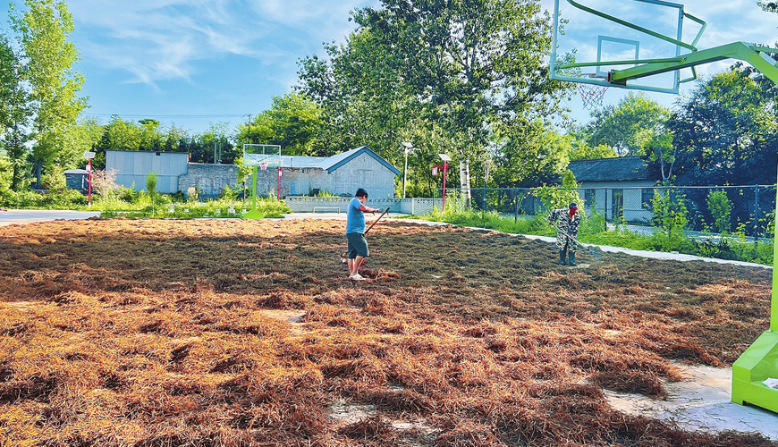 �o�i���ħ��ش� �a�ʹA��W��