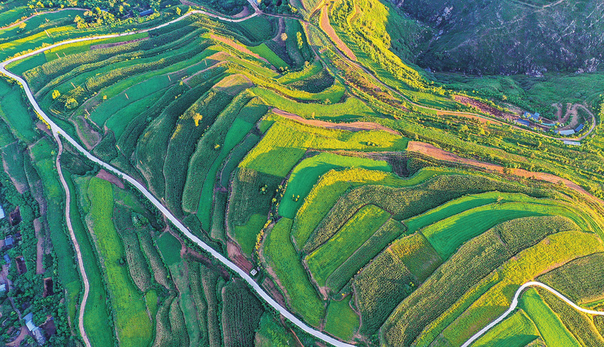 ���ͺA�e��