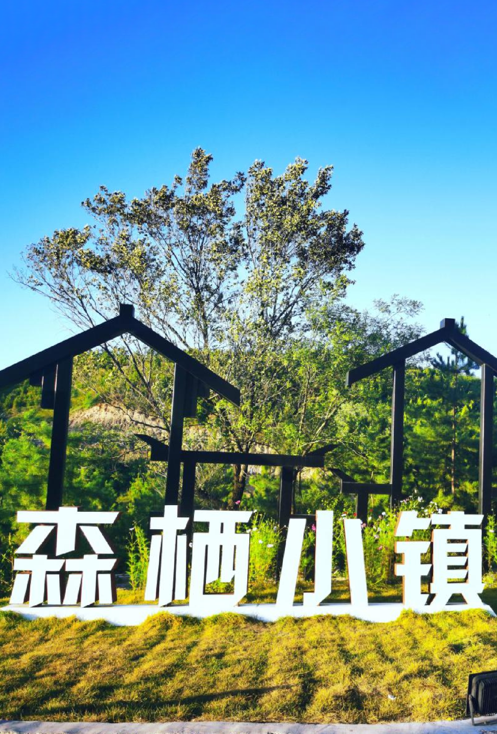 太原市唯一一家迎泽区森栖小镇入选山西省特色小镇