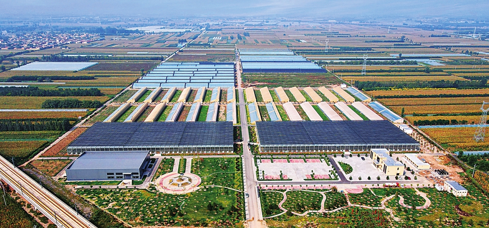 三连冠见证晋中国家农高区高质量发展