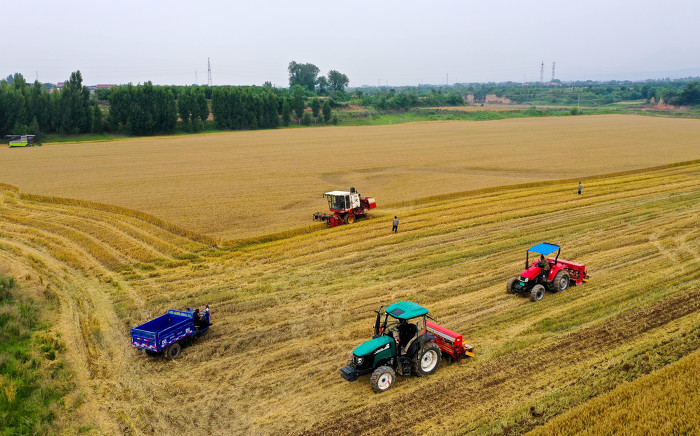 夏县:小麦抢收秋粮复播一条龙 - 山西新闻网