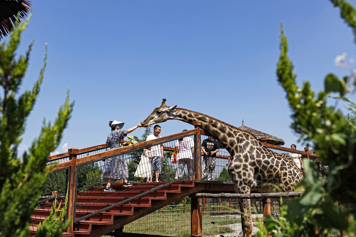 临汾动物园暑假游火热升温