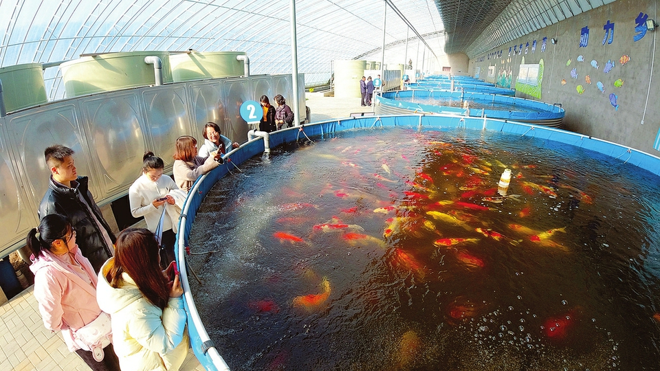 智能化养鱼吸引参观者