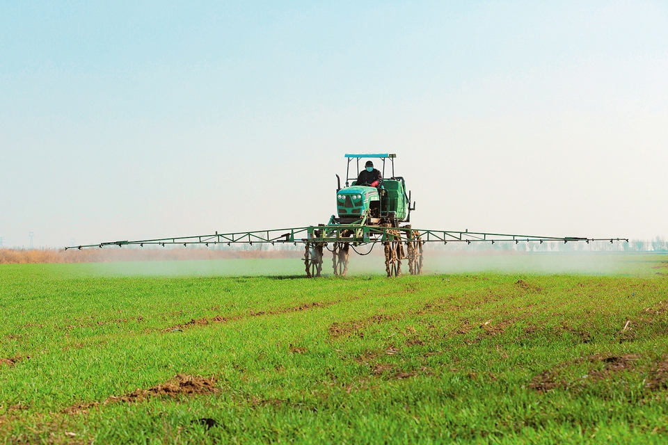 3月中旬,在永济市董村农场的万亩麦田里,一农机手驾驶自助式喷药机忙